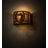 Tonileigh Steel Flush Mounted Sconce