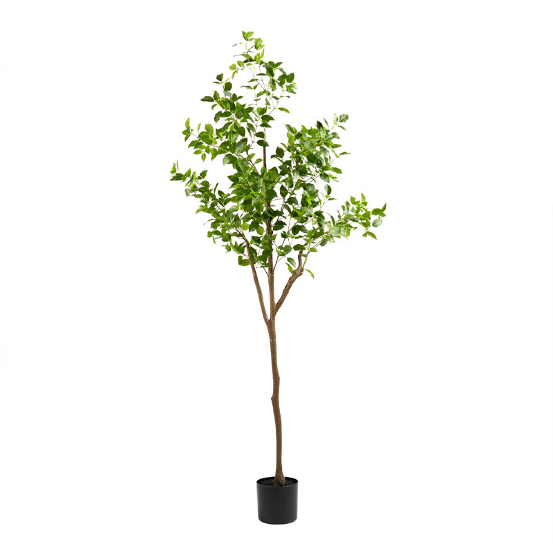 180cm Faux Real Touch K/D Ficus Tree