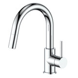 Dante Pull Down Single Handle Kitchen Faucet with Side Spray and Accessories