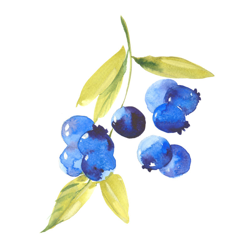Watercolour Ripe Blueberries by Dvoriankin - Wrapped Canvas Print, 122cm H x 122cm W x 3.8cm D