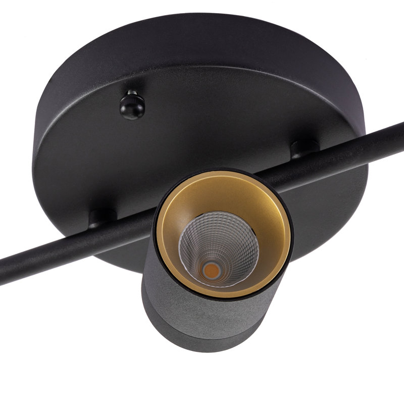 Shura Black and Gold 5-Head LED Track Light