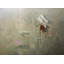 Untitled Abstract Painting by Sabastian Picker