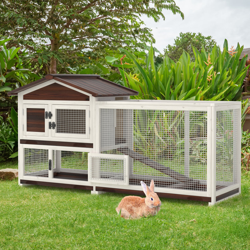 Petit animal de Kanode