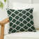 Indoor and Outdoor Throw Pillow