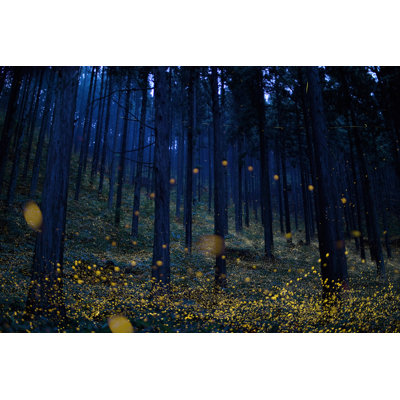 «Illiopolis Japanese Fireflies on Canvas» par North-Tail, photographie