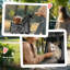 Foldable Pet Stroller