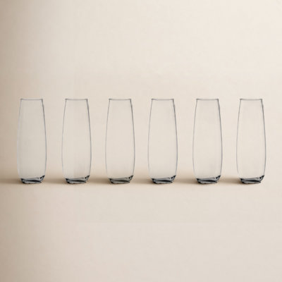 Laya 6 Piece 10 oz. Plastic Stemless Wine Glass Set