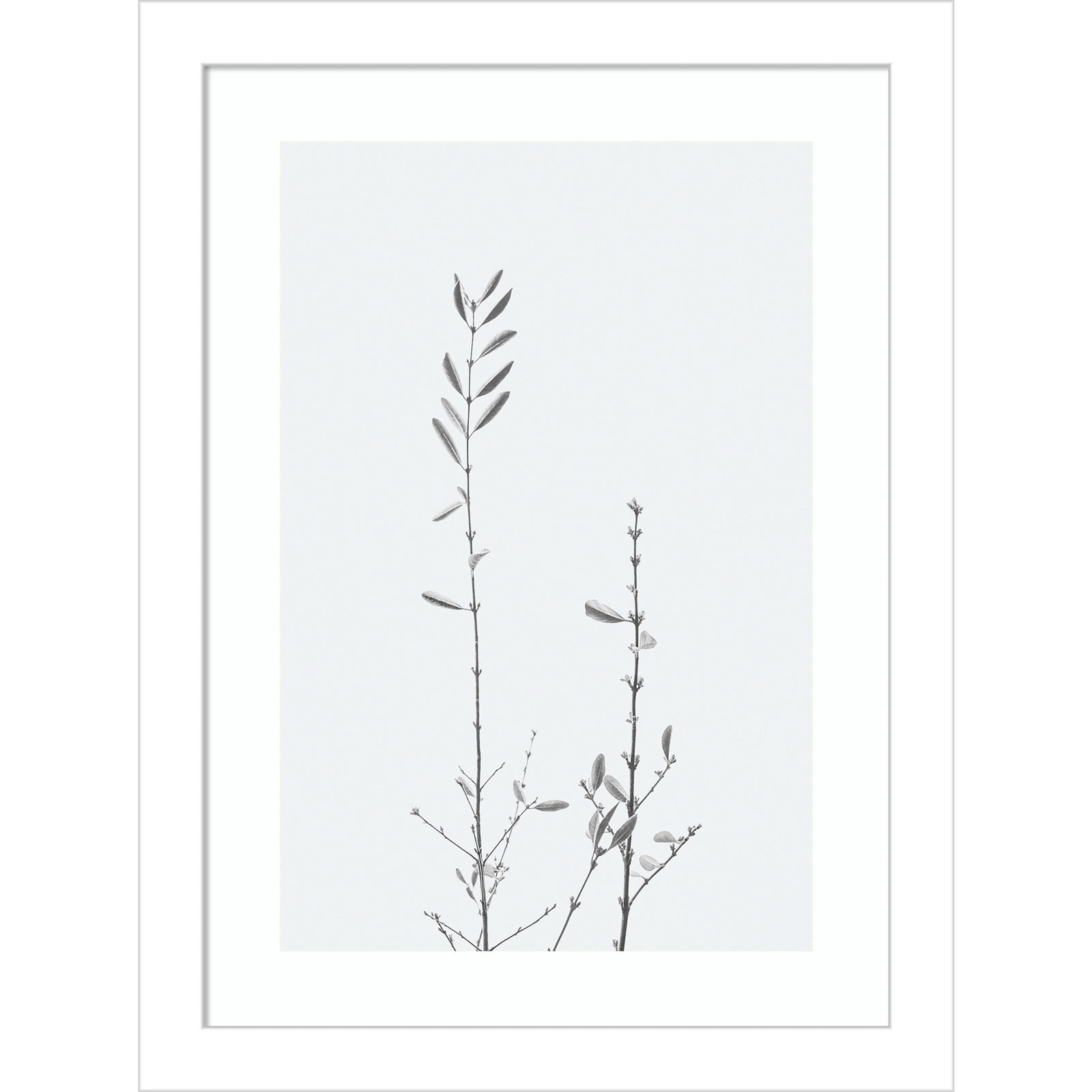 Retro Tennessee Botanical No 2 Photo Print, 13" H x 10" W x 1" D, White