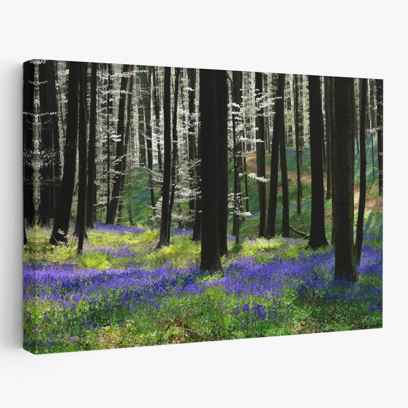 Bleu argenté - paysages, arbres, photographie, H 16 po x l 24 po