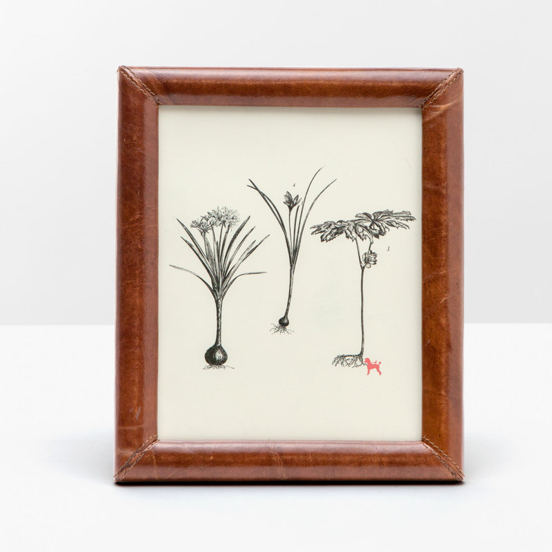 Eton Picture Frame, Tobacco, 8" x 10"