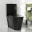 Toilette allongée moderne monobloc Ace 1,6 GPF-88234901-111041676