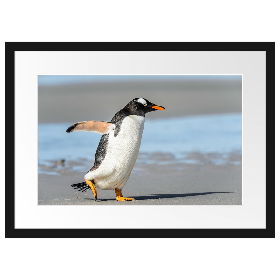 Gerahmtes Poster Pinguin am Strand