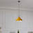 Curvy Metal Pendant Light with E26 Holder-625705654
