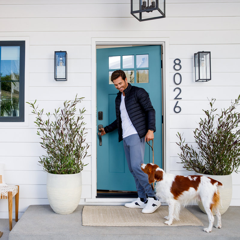 Black Suede Wi-Fi Smart Door Lock with Keypad and Voice Control