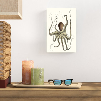 Collection Antique Octopus I