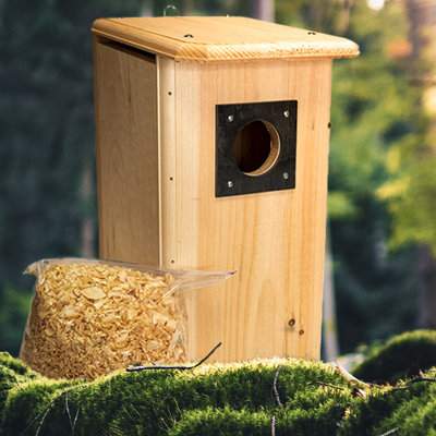 Maison d'oiseaux Shameria Flicker