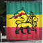 Ensemble de rideau de douche et crochets rasta-44220680