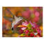 «The Flower Dance IX» par Leda Robertson - reproduction de photo sur toile-30482115
