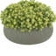 Sedum Arrangement in Fiberstone Pot-736966110