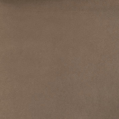 Suede | Arena Fabric