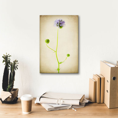 «Globe Gilia» par Jessica Rogers, art mural sur toile
