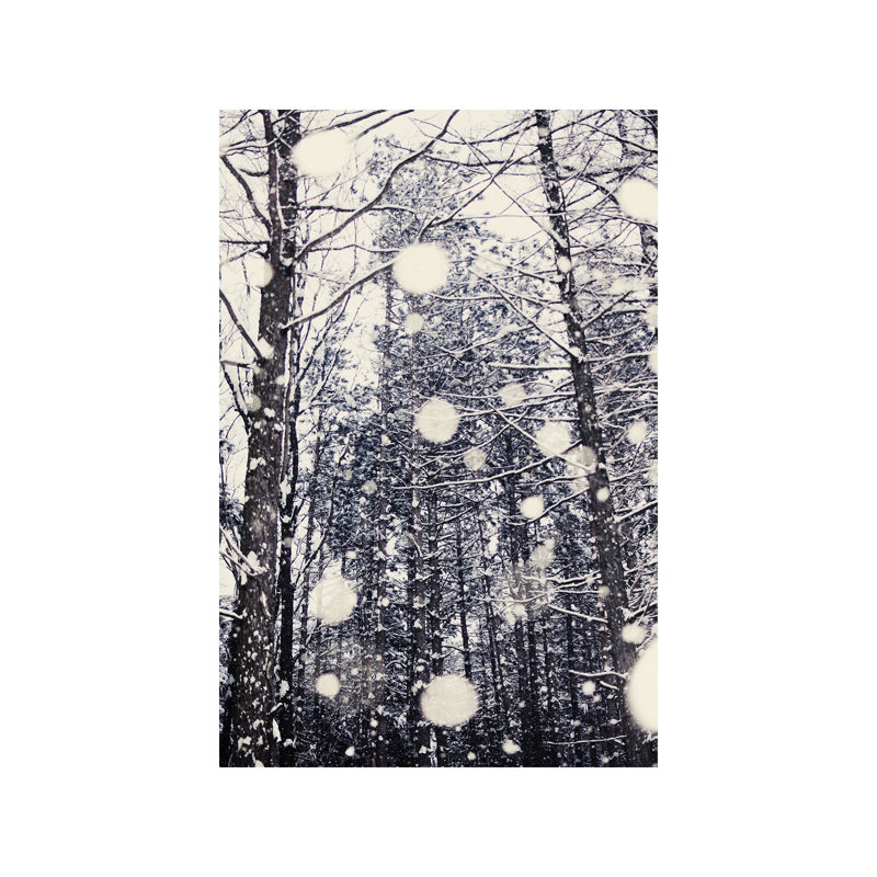 Chelsea Victoria - Print on Canvas, 20.32 cm H x 30.48 cm W, Wrapped Canvas