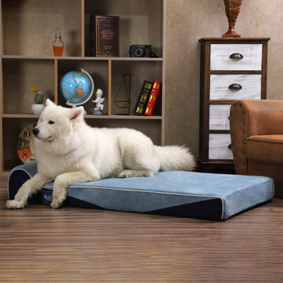 Traversin géant pour chien