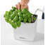 Cube Pot Planter-16493163