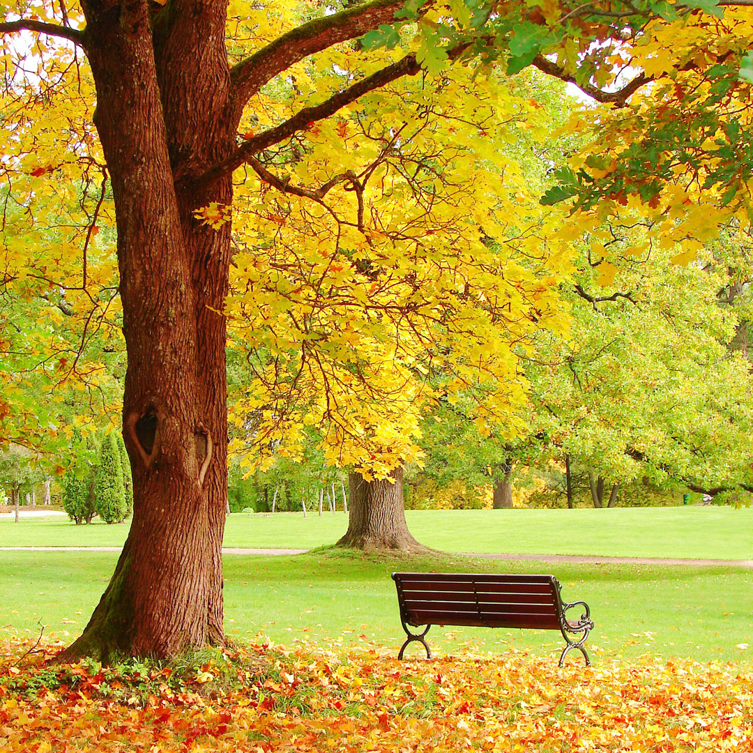 Munnsville Fall City Park - Leinwandfoto aufgerollt