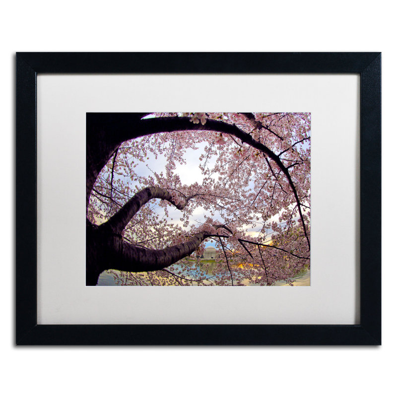«Cherry Blossoms 2014-1» par CATeyes, Khosrov, reproduction de photo encadrée, H 16 po x l 20 po, Blanc