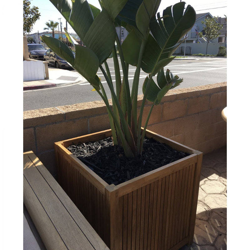 Wood Planter