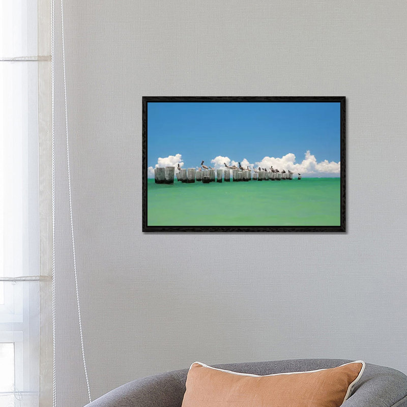 Gull Conference by Verne Varona - Gallery-Wrapped Canvas Giclée on Canvas, 66.04 cm H x 45.72 cm W, Black Floated Frame