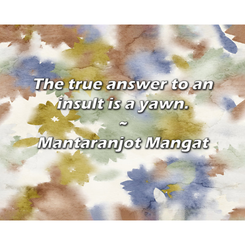 Artsy Quote "The true answer to an insult is a yawn." By Mantaranjot Mangat Gallery Wrapped Canvas, 17" H x 24" W