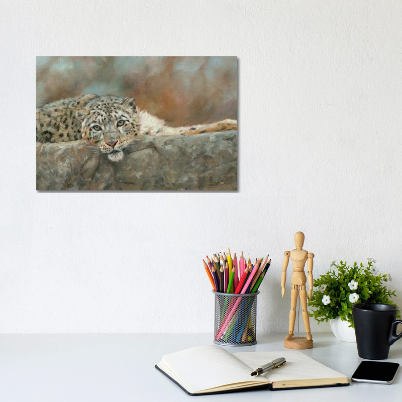 Snow Leopard Repose by David Stribbling - Wrapped Canvas Print, 20.32 cm H x 30.48 cm W