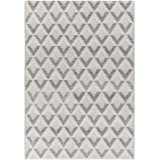 Geometric Area Rug in Beige