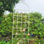 Ensemble de 4 treillis de jardin en métal antirouille, support pour fleurs d'extérieur crème pour plantes grimpantes, ensemble de tuyaux en métal galvanisé