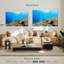 Aletra St. Lucia Ocean Life-107992370