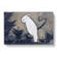 White Cockatoo On A Pine Branch by Ito Jakuchu - Wrapped Canvas Painting-55305240