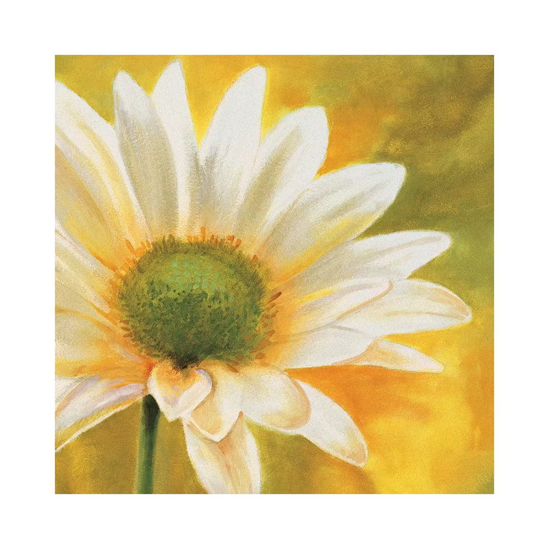 Marguerites Dans Le Soleil 3 by Pierre Viollet - Wrapped Canvas Painting, 30.48 cm H x 30.48 cm W