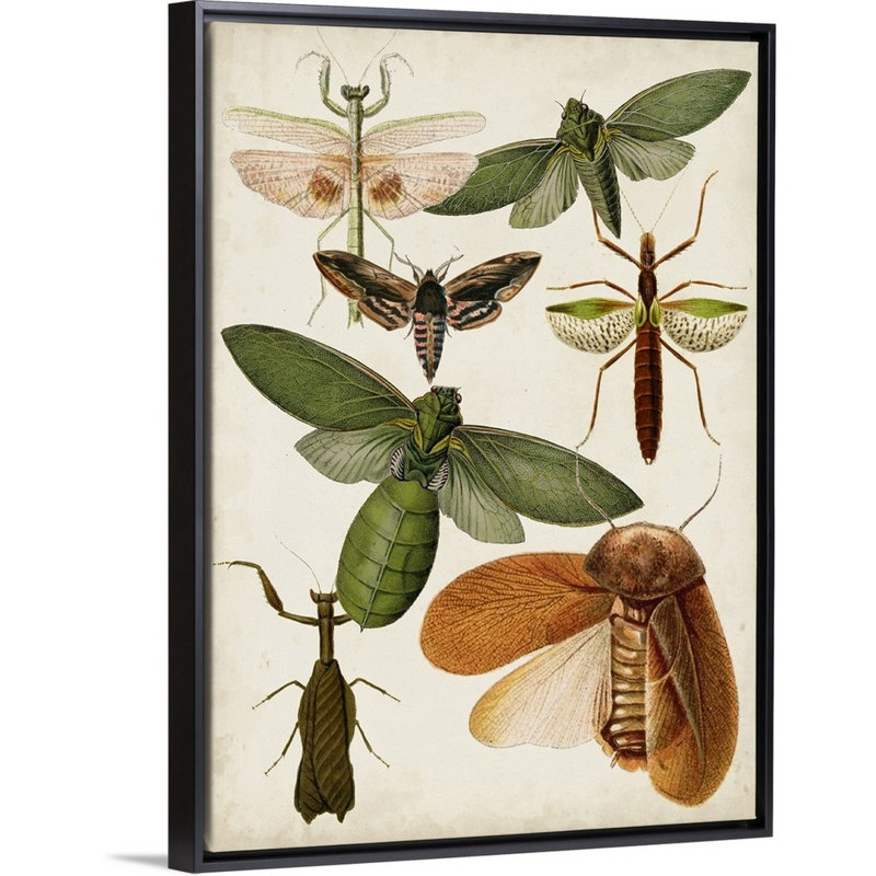 « flying bugs kids », art encadré, H 36 po x l 12 po x P 1,2 po, Cadre pour toile flottant noir