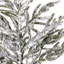 Snowy Natural Touch Norfolk Pine Branch