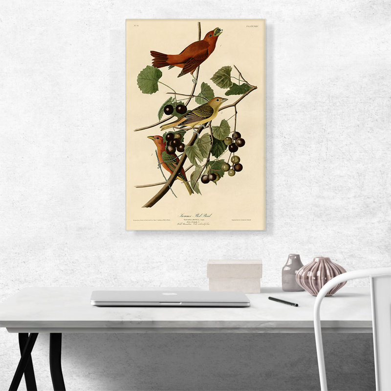 «Summer Tanager Summer Red Bird» par James Audubon, reproduction d'art sur toile tendue, H 26 po x l 18 po x P 0,75 po