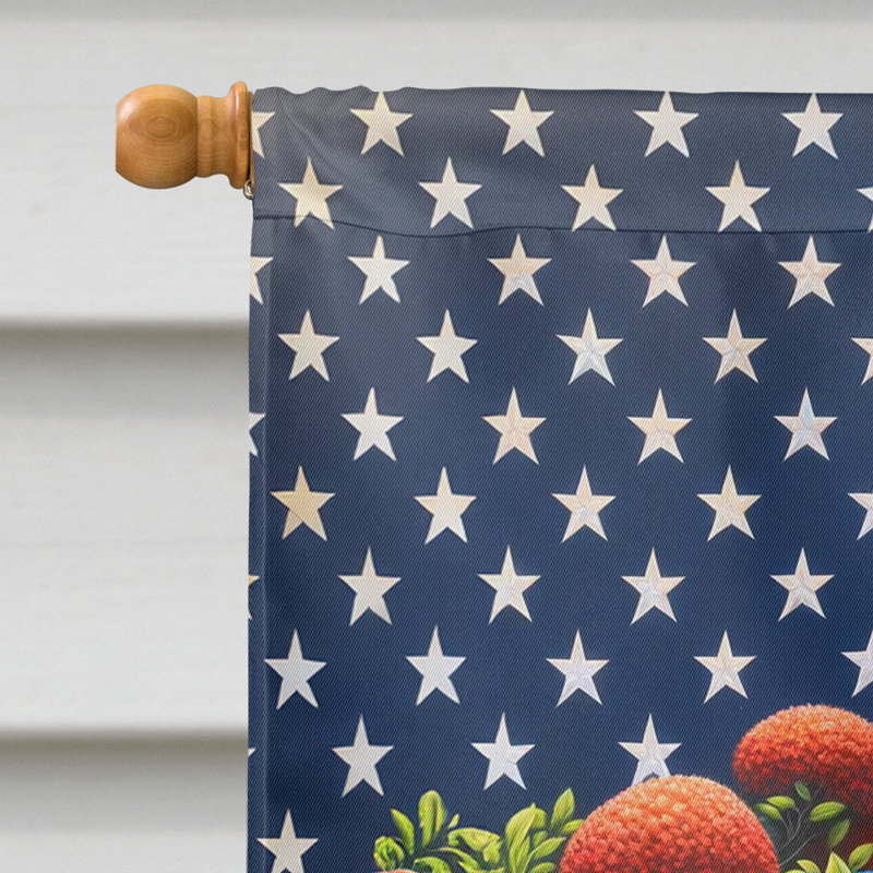 Drapeau «All American House», Étoile bleue / Husky sibérien à rayures rouges