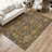Machine Washable Indoor/Outdoor Chantille ACN2306 Global Rug-1776976436