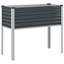 Ankoma Planter Box-1533786802-1533786800