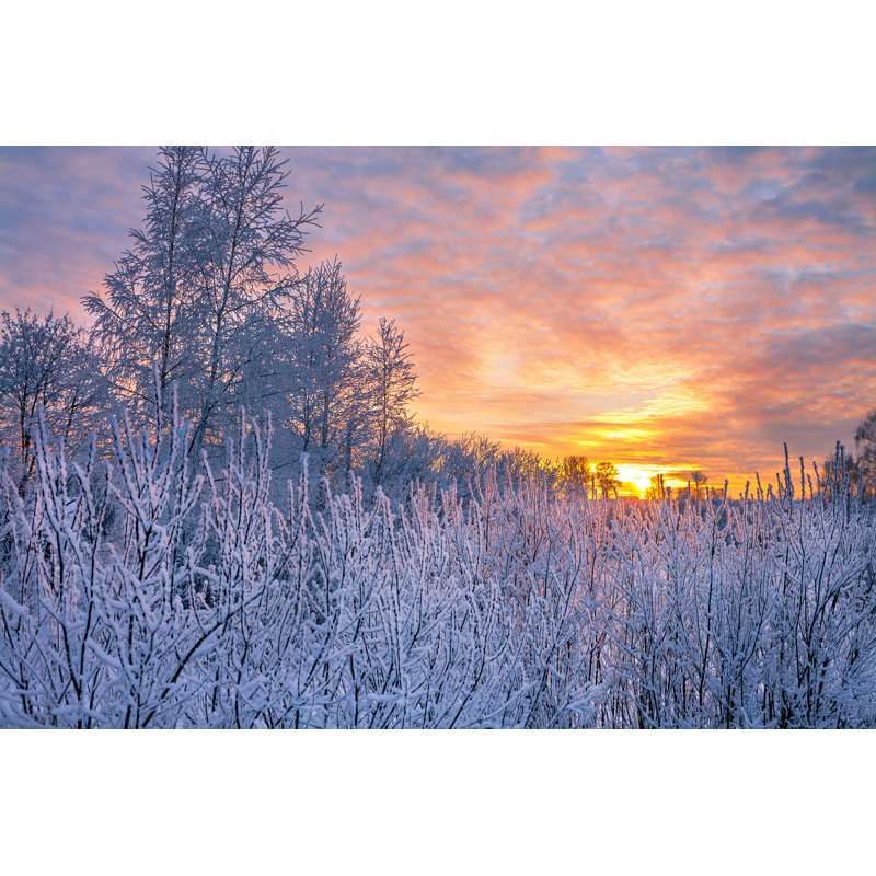Landscape With Sunset by Yanikap - Wrapped Canvas Print, 30cm H x 46cm W x 3.8cm D