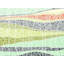 Circular Horizon Print by Trish Sierer-65791944-132434000