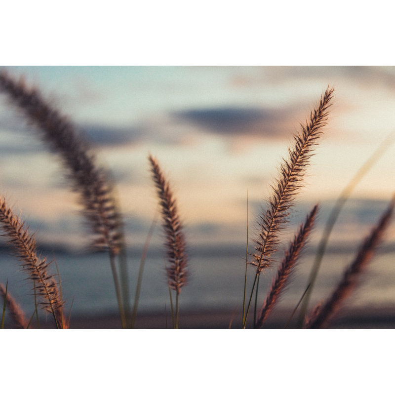 Close Up Of Wild Plants by Instants - Print, 81cm H x 122cm W