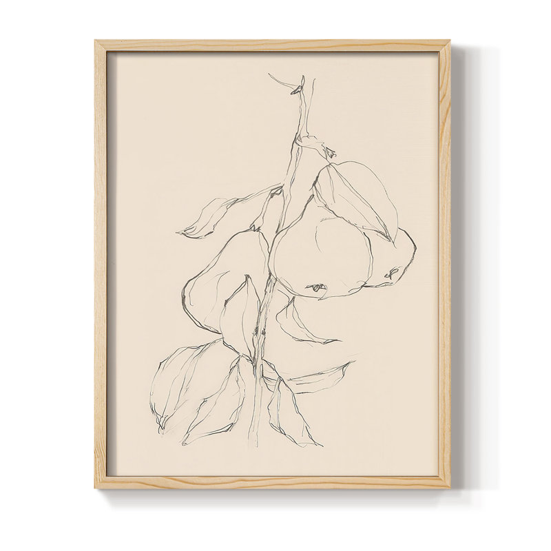 «Fruit Contour Study II», H 21 po x l 17 po