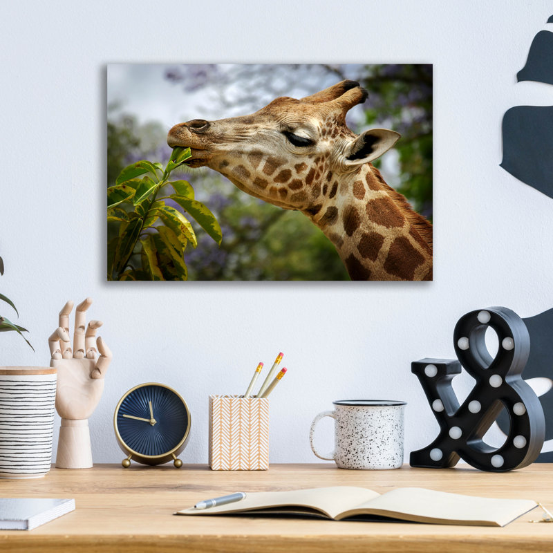 " Giraffe " Print, 12" H x 16" W